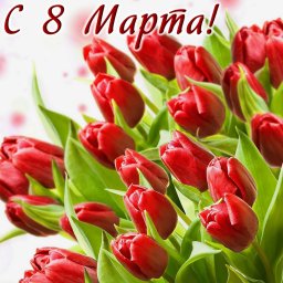 С 8 марта!!!
